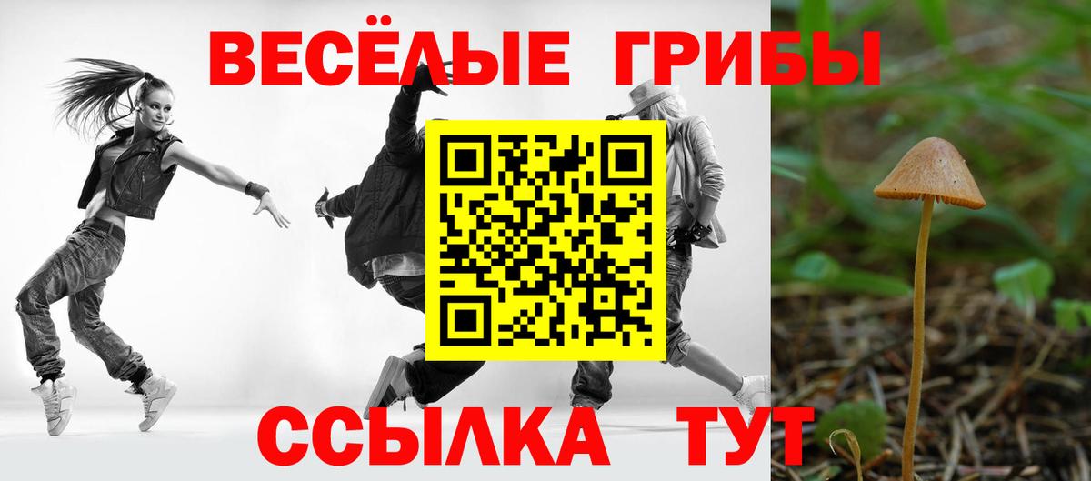 Галлюциногенные грибы ЛСД Саранск